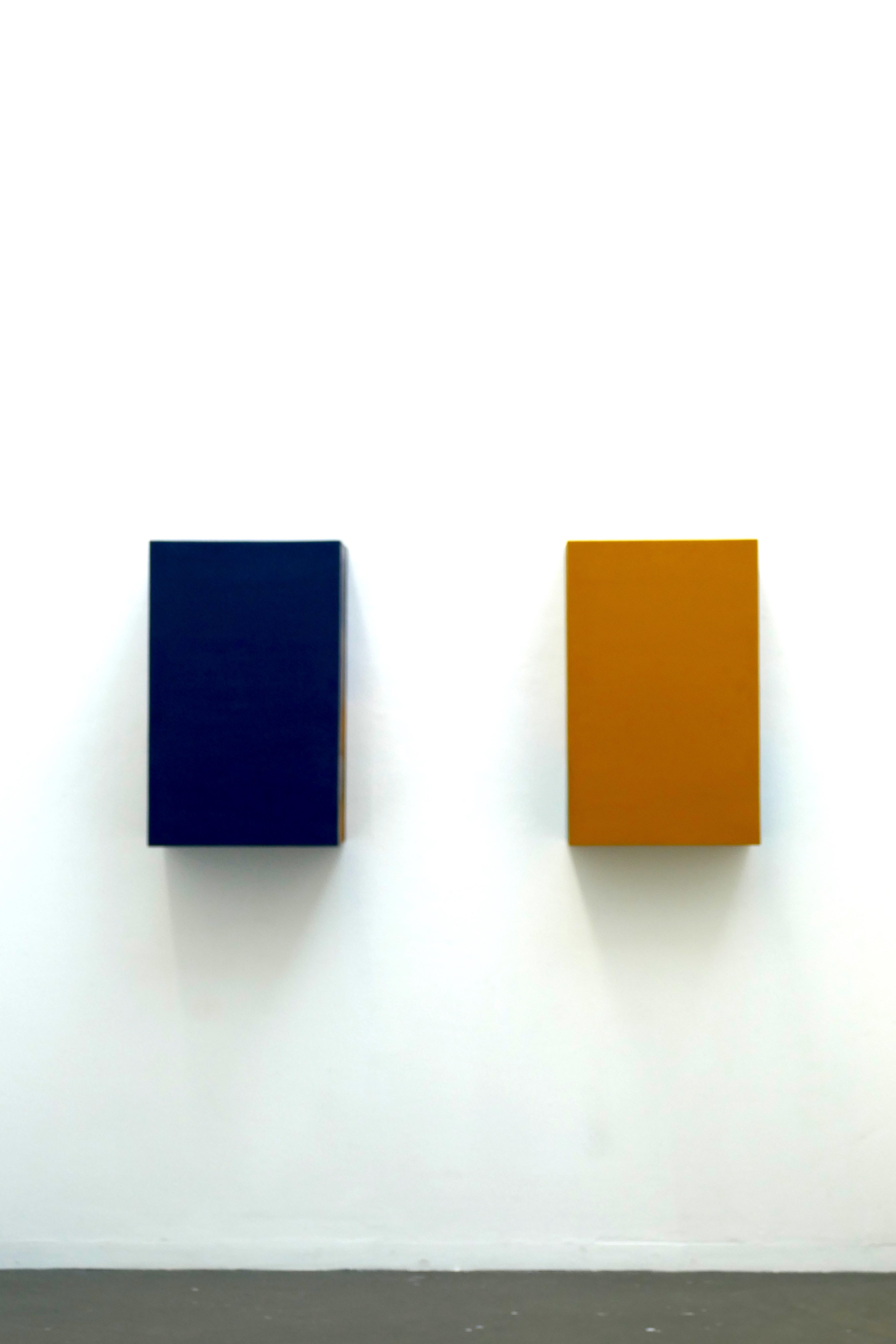 <em>Mis de côté (2) </em>, 2017, 80x25x50 cm 80x20x50 cm, 2017, acrylic and ink on wood.